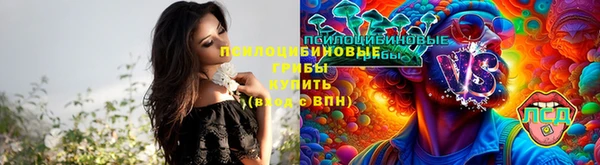 эйфоретик Нефтегорск