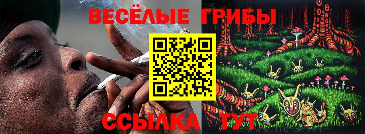 Сердобск  Псилоцибиновые грибы ЛСД  Вход с VPN  Псилоцибиновые грибы мицелий 