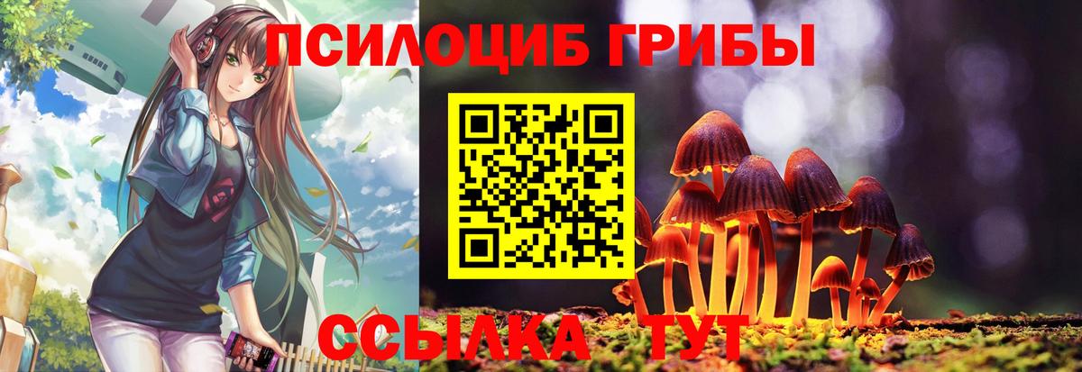 Бошки Шишки Сердобск