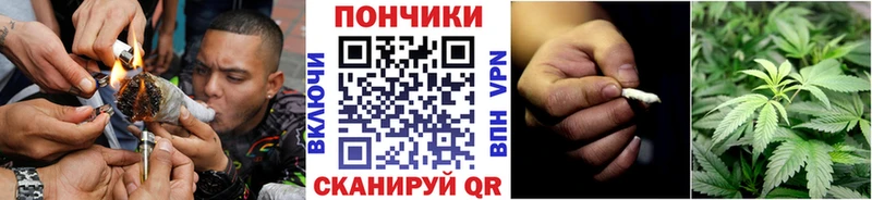 сколько стоит  Сердобск  мориарти какой сайт  Шишки марихуана сатива 